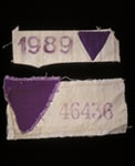 Two Camp Badges